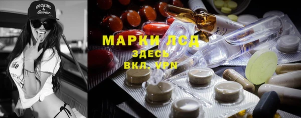 стаф Волоколамск