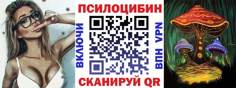 Галлюциногенные грибы Psilocybe  купить   это состав  Верхний Тагил  KRAKEN как войти 
